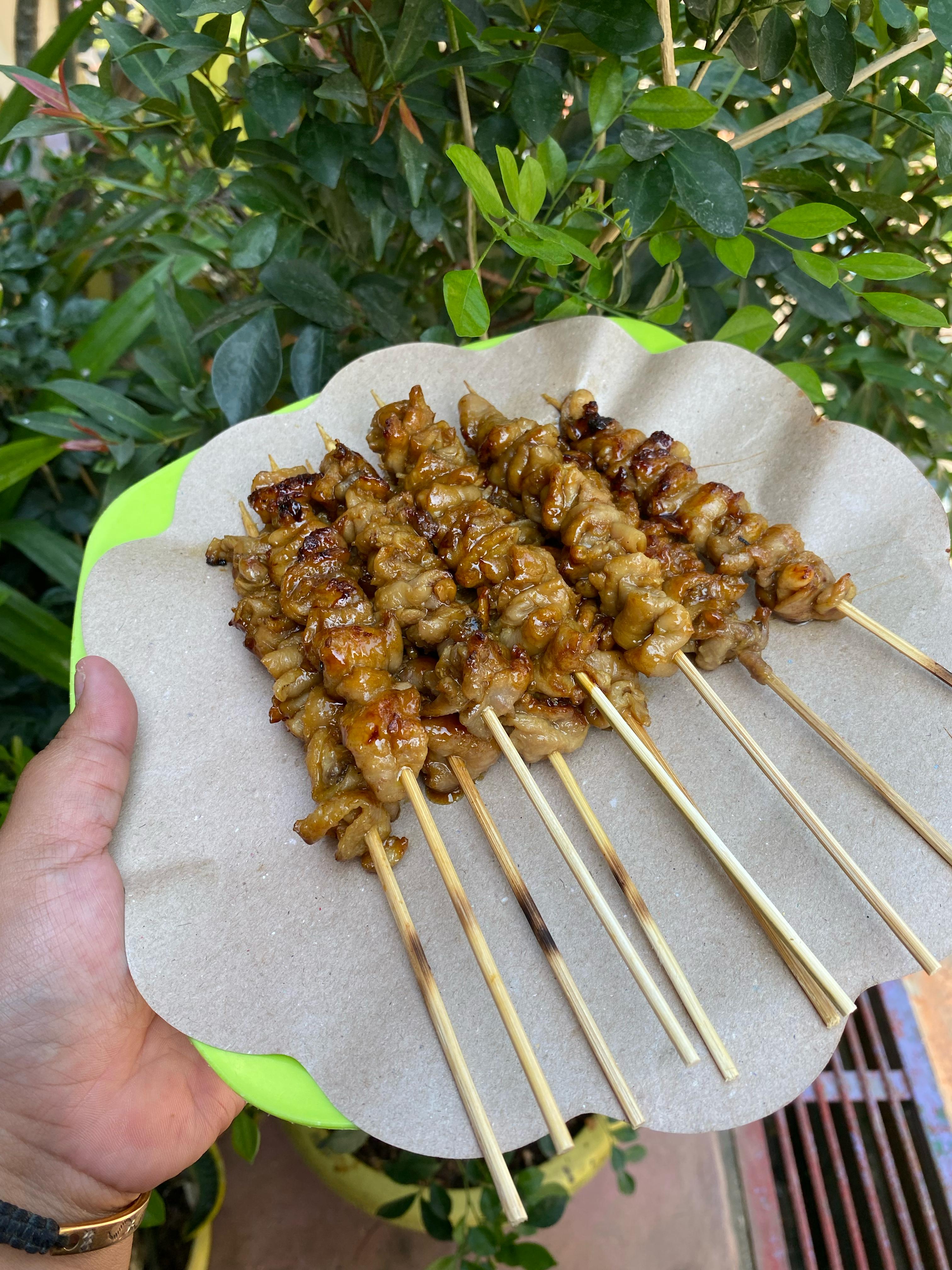 Sate Kulit